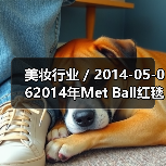 美妆行业 / 2014-05-062014年Met Ball红毯优雅妆容逐个数（图4）