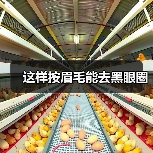 这样按眉毛能去黑眼圈