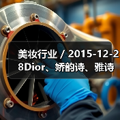 美妆行业 / 2015-12-28Dio