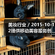 美妆行业 / 2015-10-12提供移