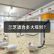 兰芝适合多大年龄?(图3) 兰芝适合多大年龄?(图3)