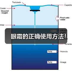 眼霜的正确使用方法！
