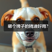 哪个牌子的精油好用?(图3) 哪个牌子的精油好用?(图3)