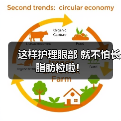 这样护理眼部 就不怕长脂肪粒啦！