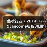 美妆行业 / 2014-12-29Lan