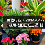 美妆行业 / 2014-04-21粗眉依旧正红当道 封面女郎秦岚尽显熟女魅力（图4）