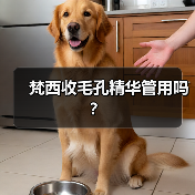 梵西收毛孔精华管用吗？（图4）