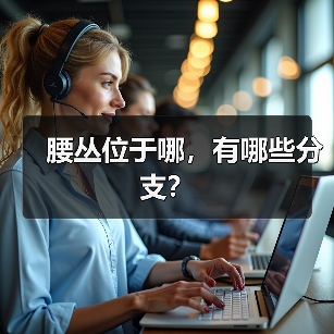 腰丛位于哪，有哪些分支？