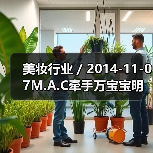 美妆行业 / 2014-11-07M.A