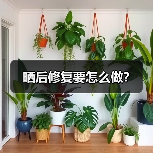晒后修复要怎么做?(图3) 晒后修复要怎么做?(图3)