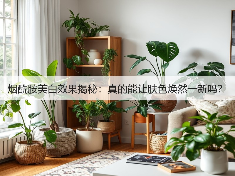烟酰胺美白效果揭秘：真的能让肤色焕然一新