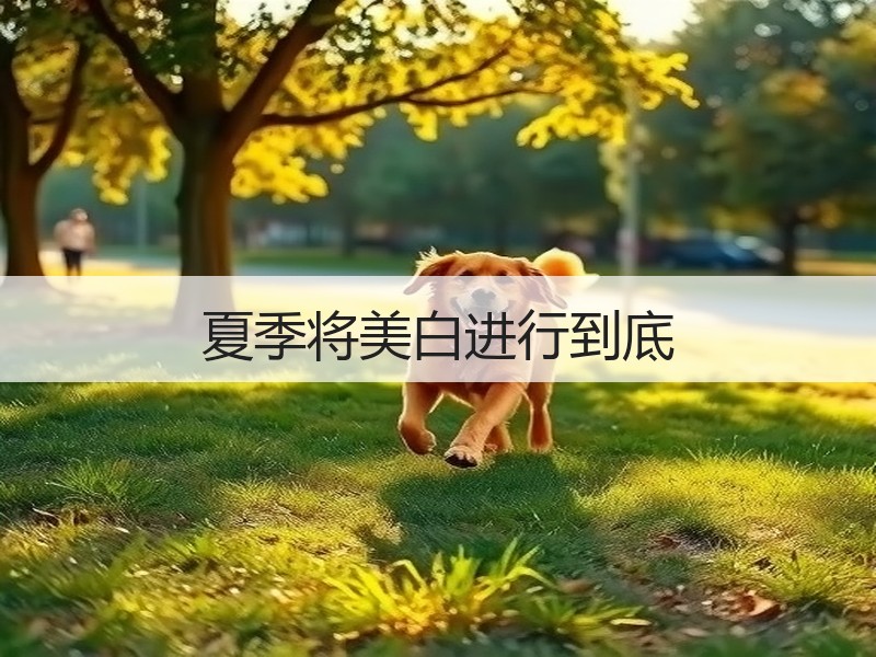 夏季将美白进行到底