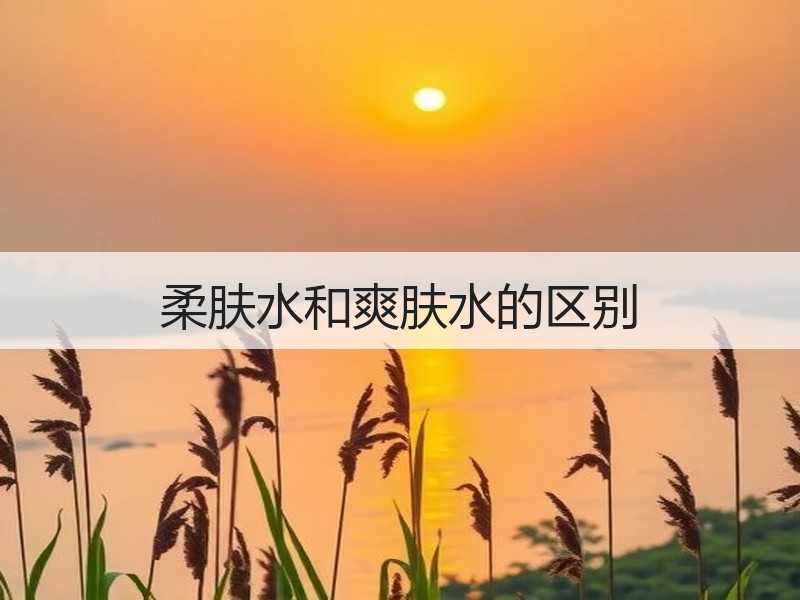 柔肤水和爽肤水的区别