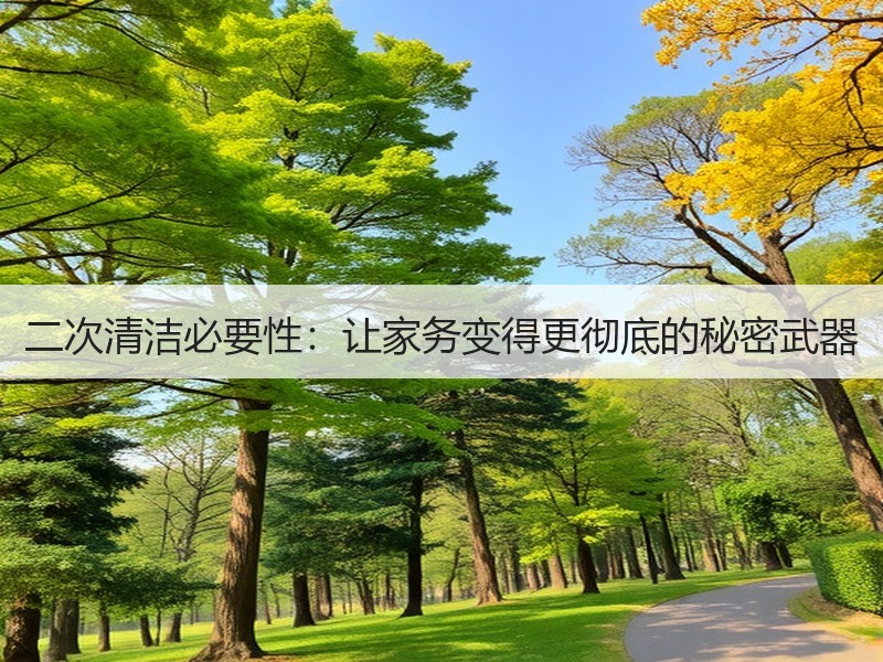 二次清洁必要性：让家务变得更彻底的秘密武