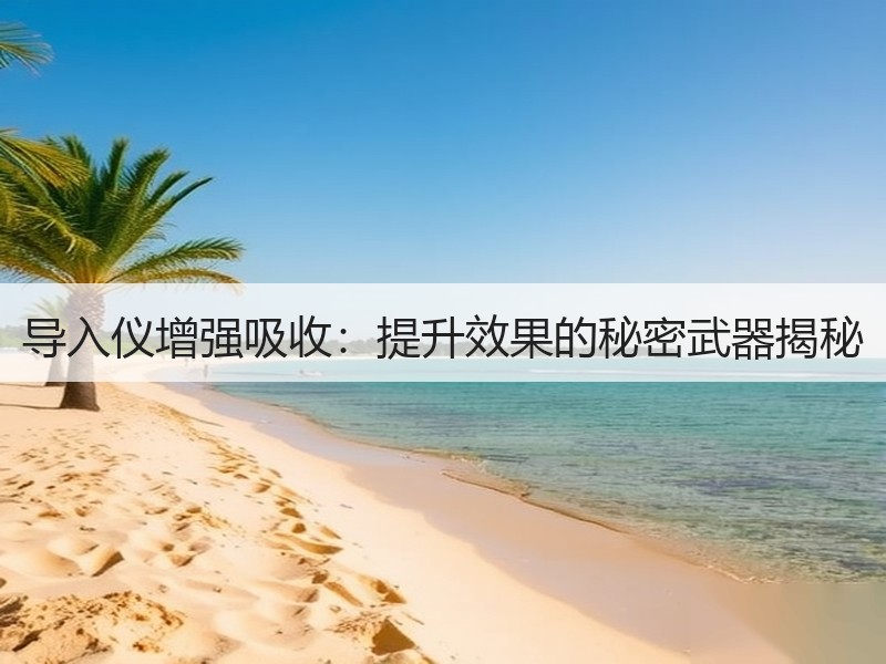 导入仪增强吸收：提升效果的秘密武器揭秘