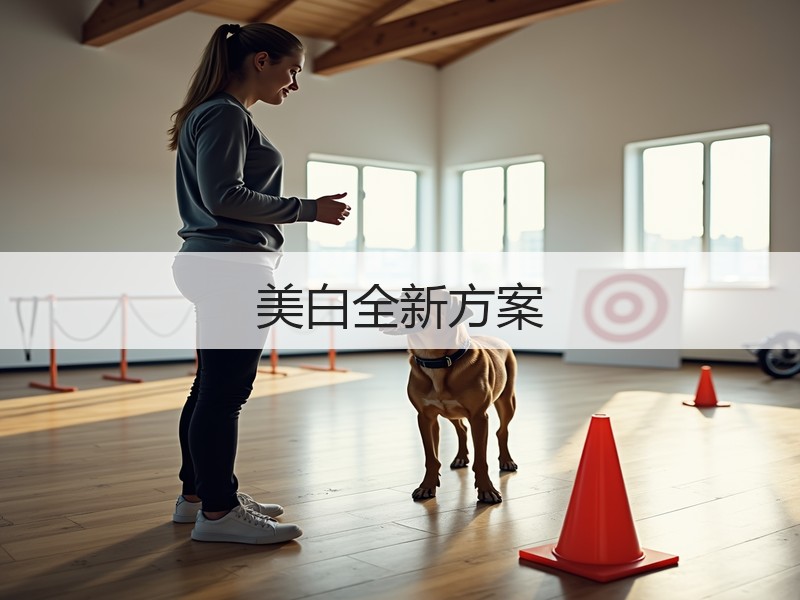 美白全新方案