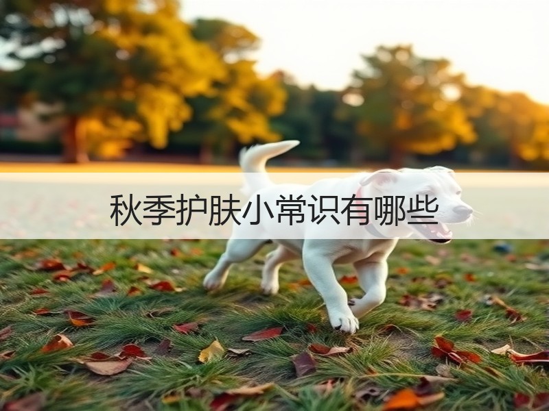 秋季护肤小常识有哪些