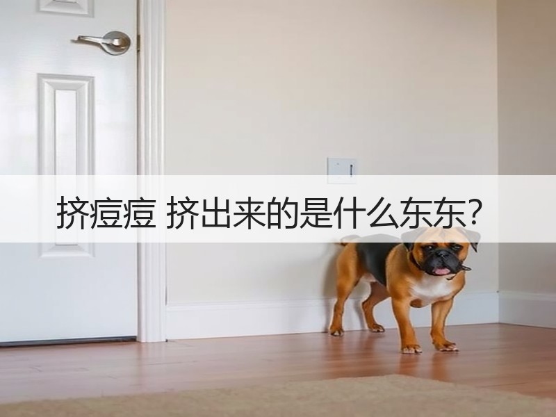 挤痘痘 挤出来的是什么东东？