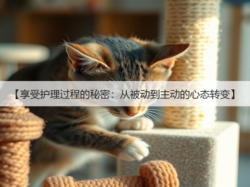 【享受护理过程的秘密：从被动到主动的心态