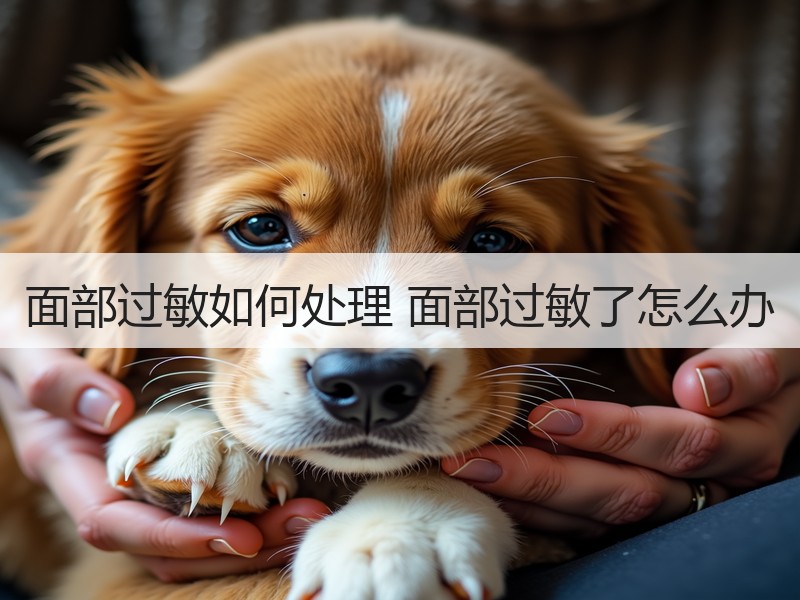 面部过敏如何处理 面部过敏了怎么办